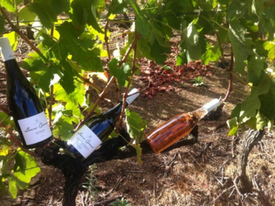 Domaine Louis Chomel