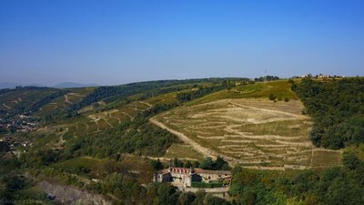 Parcelle de la cuvée Chateau de Montlys