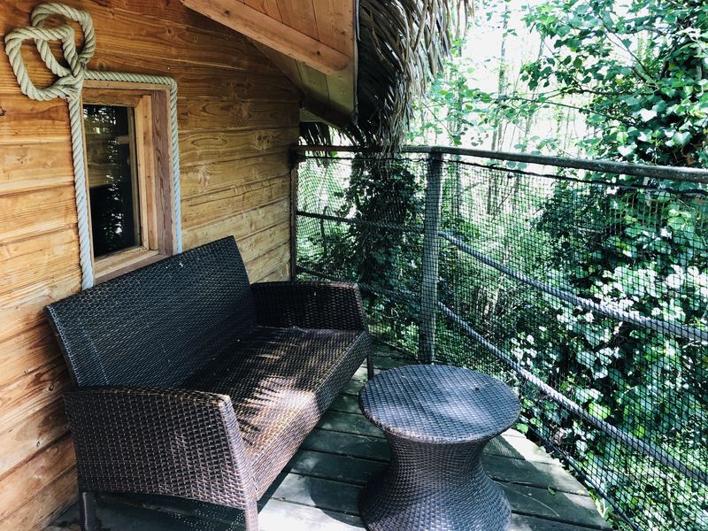 Cabane dans les arbres Feuilles