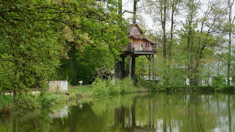 Cabane Ecureuils