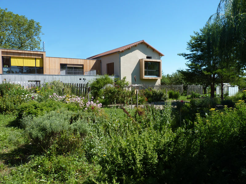 L'îloz'