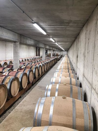 cave à fûts