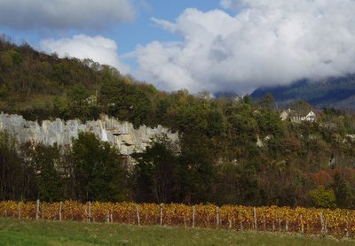 Domaine Collomb