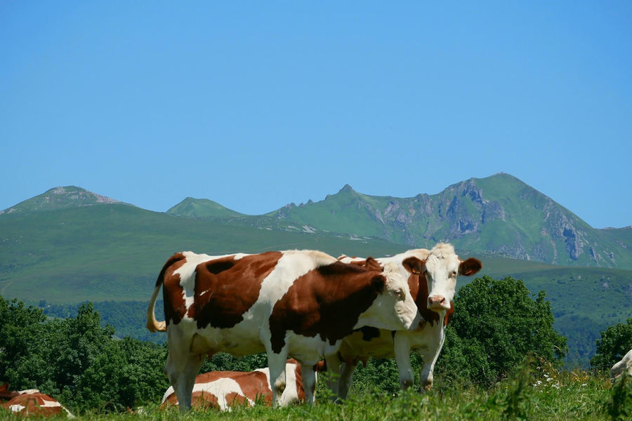 Ferme de Rimat