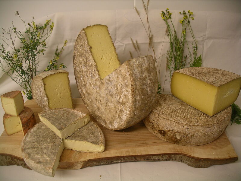 Production de fromages