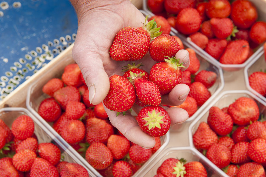 Perles Rouges du Velay