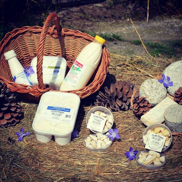 PDT-gaec d'orcimont-monistrol sur loire