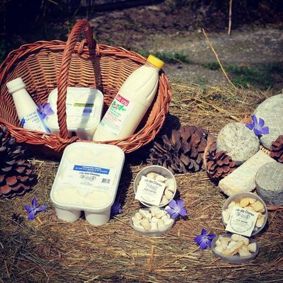 PDT-gaec d'orcimont-monistrol sur loire