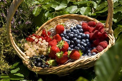 Gaec Minival-Famille Peyrard & Flo_Saint-Romain-Lachalm