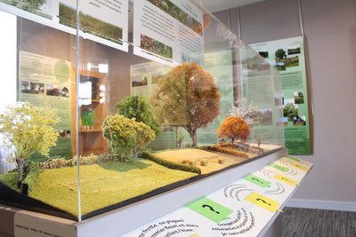 Maquette sur la haie au fil des saisons - Salle des paysages