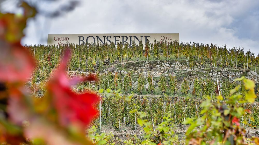 La Côte Brune