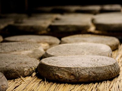La Maison du Fromage