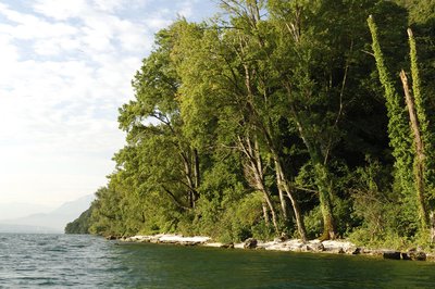 Plage-des-meuniers-lac-du-bourget