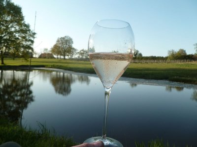 Domaine Grosbot Barbara