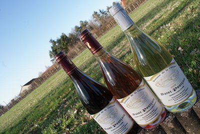 Vins
