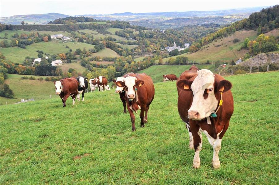 ferme des planchettes