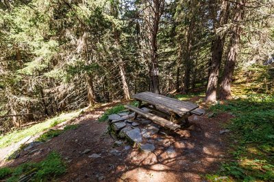 Aire de pique-nique du sommet du sentier botanique_Méribel