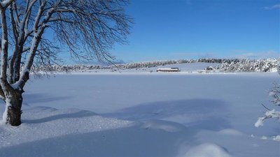 En hiver, sur fond de lac gelé