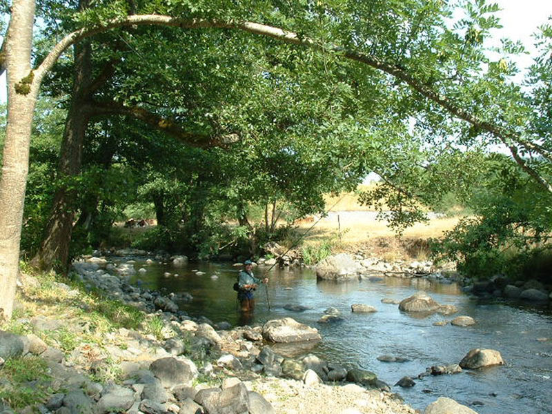 Camping de la Prade