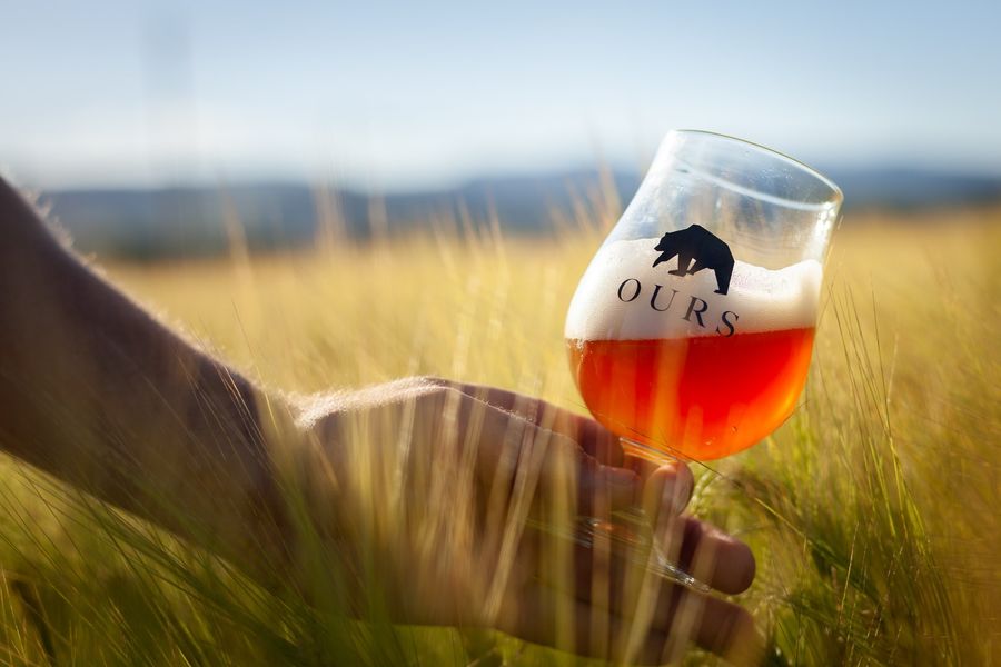 Bière Ours