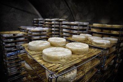 Ferme La Falleixoise_Montboudif
