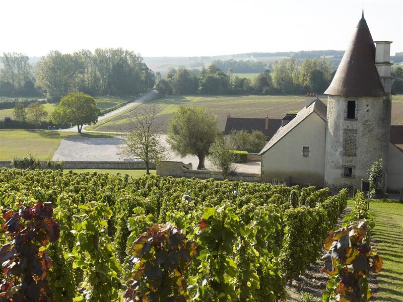 Vue sur les vignes
