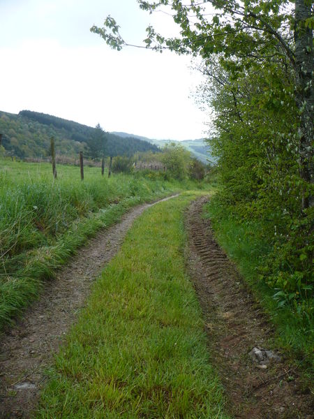 Chemin de Gouttelion à Crezoilles