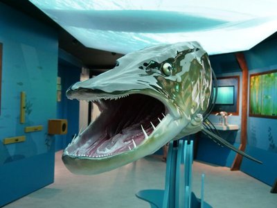 aqualisaixlesbainsrivieradesalpes