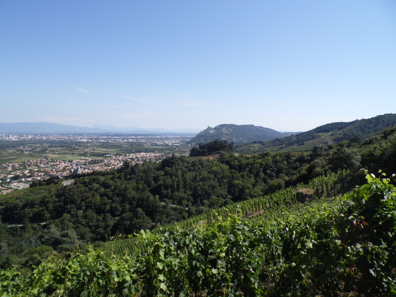 vignoble Crussol