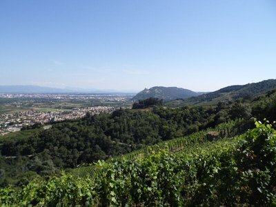 vignoble Crussol