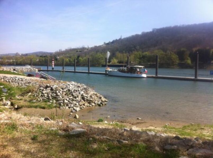 bassin joutes Ampuis