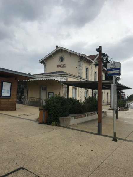 Gare de Montluel