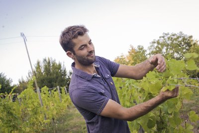 Domaine des Ardaillons