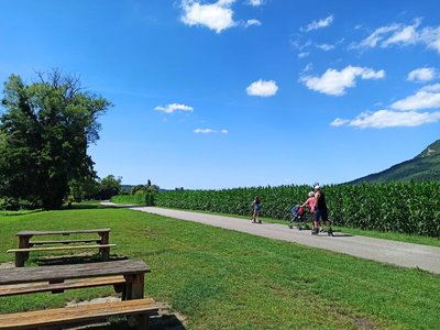 aire de pique-nique bord du rhône