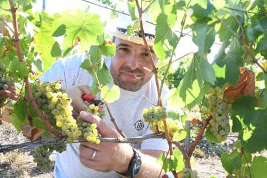 Domaine les Roches