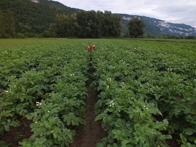 Ferme des Flam'en vert