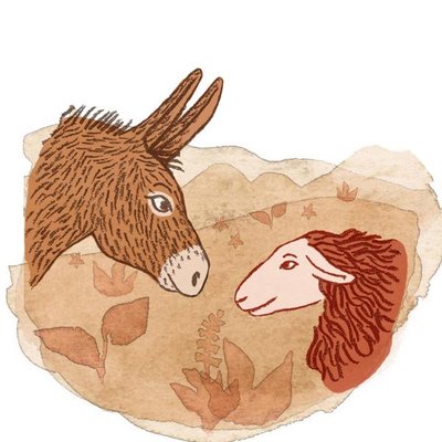 Ferme La Brebis Heureuse_Saint-Pierre-sur-Doux