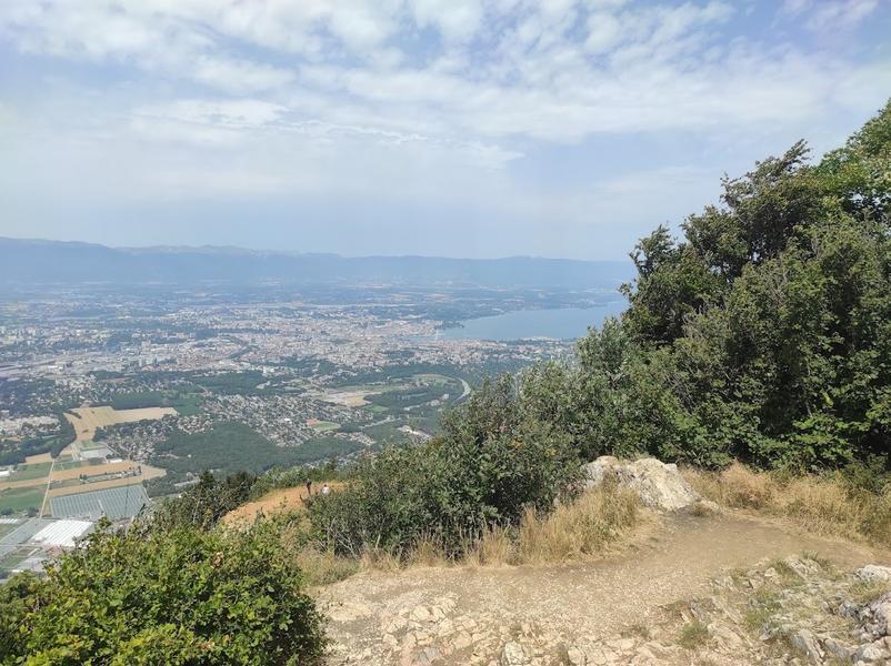 Point de vue de l'Observatoire
