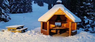 Kota en hiver