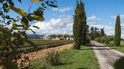 Domaine du bois de Laud