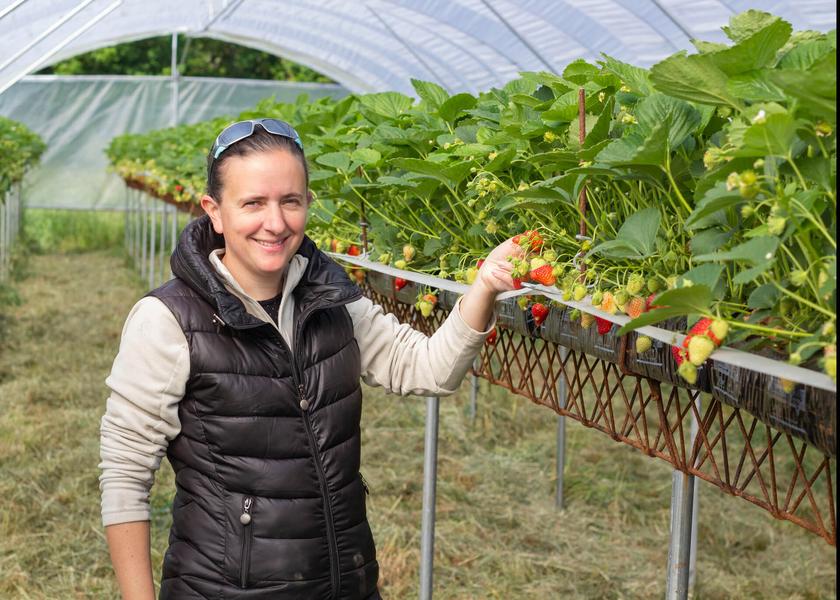 EARL Velay Fruits Rouges Malrevers