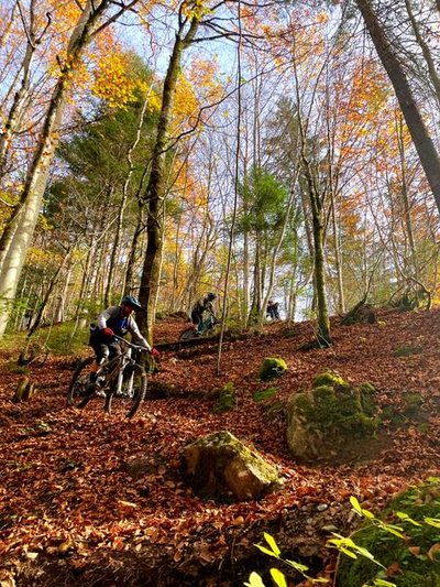 BIKE EXPERIENCE