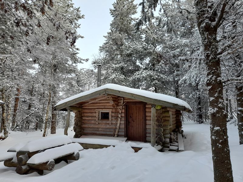 Cabane de l'ours hiver