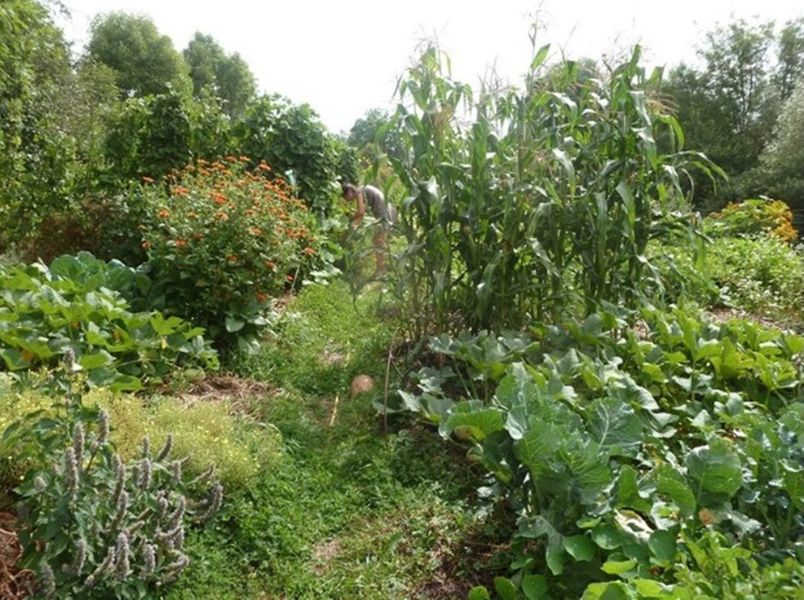 Les jardins de Haute-Auvergne-Faverolles-Margeride-Cantal-Auvergne