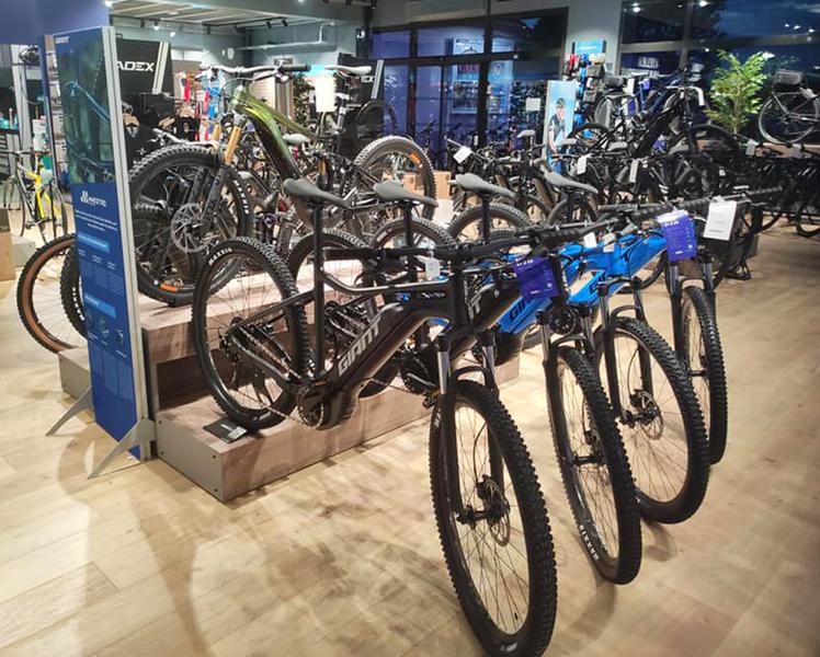 Giant Roanne Mably .jpg