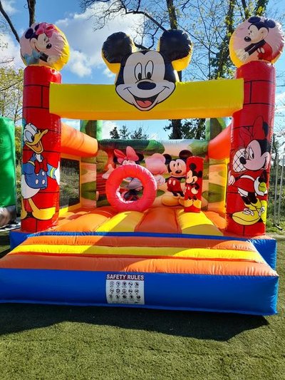 structure mickey
