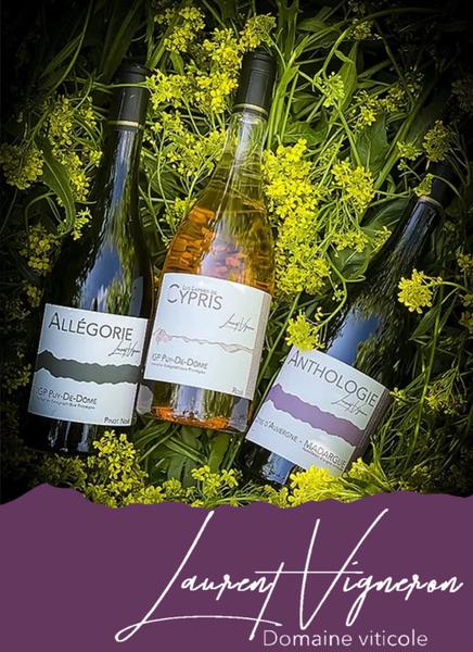 Les cuvées du domaine