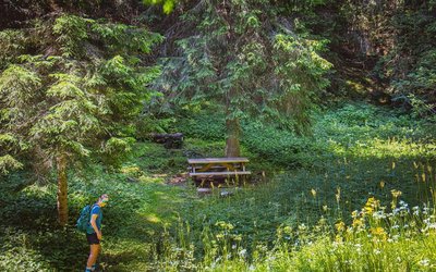 Table de pique-nique situé à l'ombre au bout du lac de Flaine