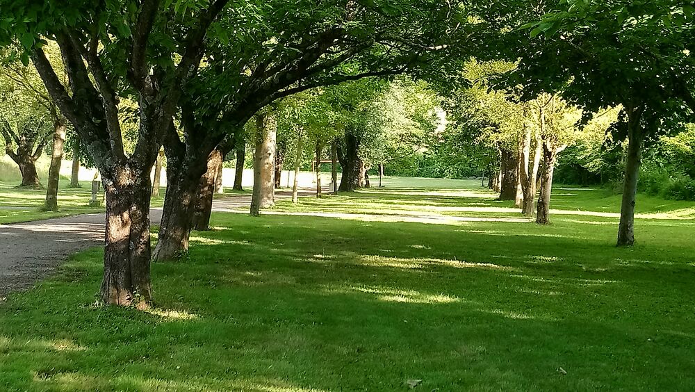 Camping municipal Le Colombier