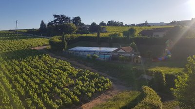 un camping au coeur des vignes